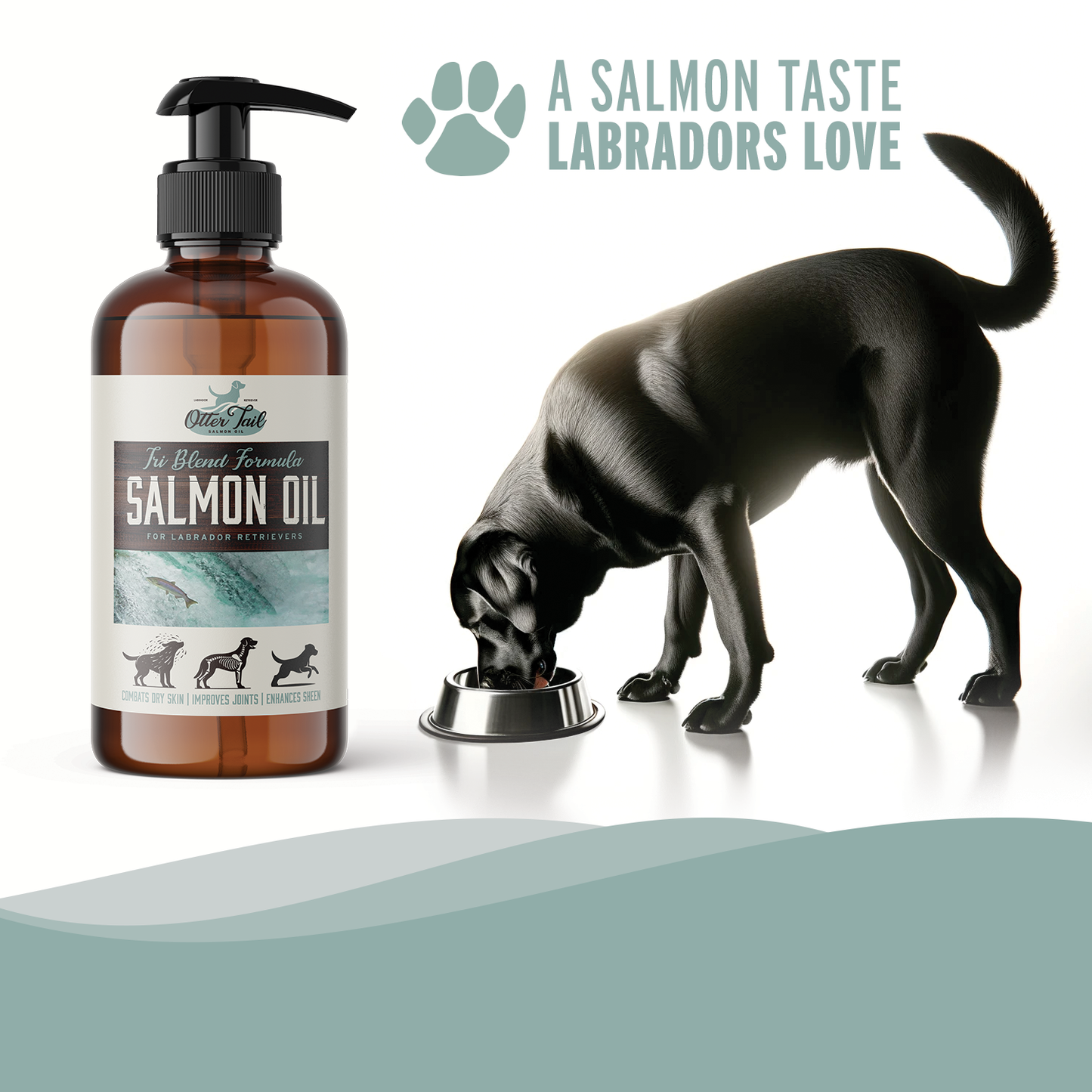 Salmon Oil - Labrador Blend - 16oz